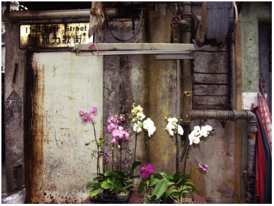 kirk pedersen urban asia photographs    Hong Kong, Wan Chai, MacGregor Street   2006